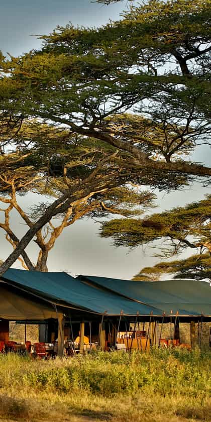 Nyikani Migration Camp - Kogatende, Serengeti | Timbuktu Travel