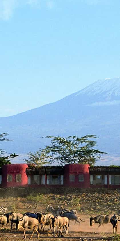 Amboseli Serena Lodge, Amboseli & Chyulu Hills | Timbuktu Travel