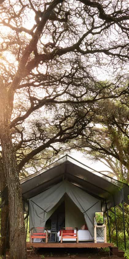 Ngorongoro Crater Camp, an A&K Sanctuary, Ngorongoro Crater | Timbuktu Travel