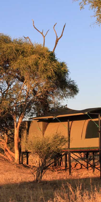 Jozibanini Camp, Hwange | Timbuktu Travel