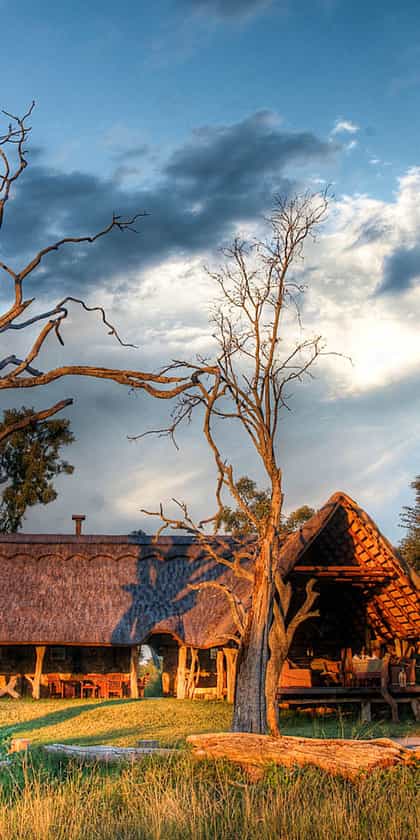 Bomani Tented Lodge, Hwange | Timbuktu Travel