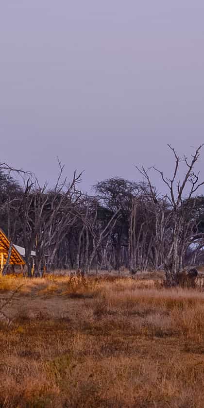The Hide Safari Camp, Hwange | Timbuktu Travel