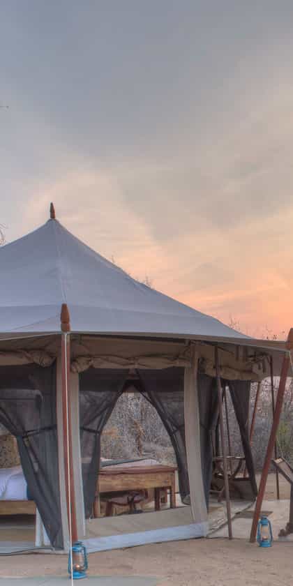 Kichaka Frontier Camp, Ruaha | Timbuktu Travel