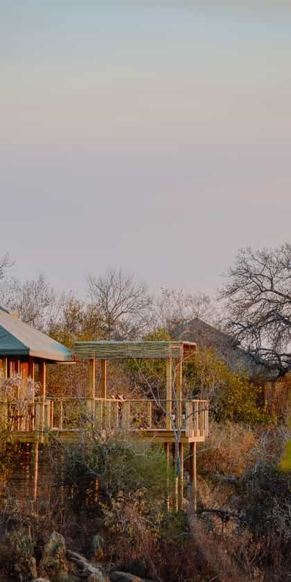 Simbavati Hilltop Lodge, Timbavati | Timbuktu Travel