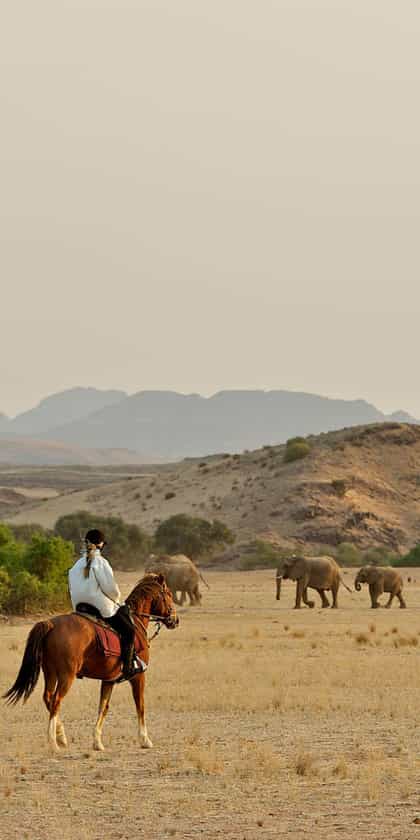 Namibia Horse Safari: Damara Elephant Safari, Damaraland | Timbuktu Travel