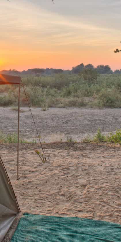 Kichaka Untamed, Ruaha | Timbuktu Travel