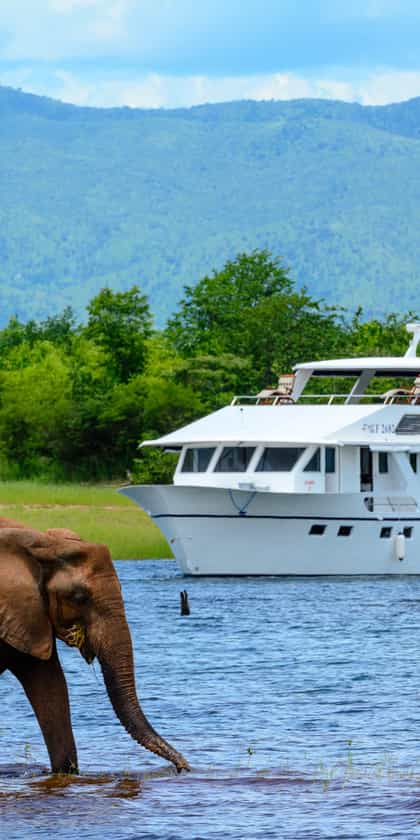 Matusadona Luxury Safari Cruiser, Lake Kariba | Timbuktu Travel