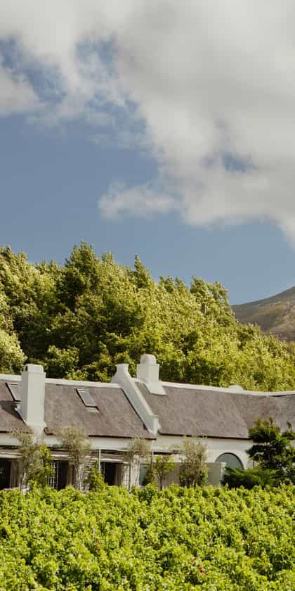 Grande Provence Owner's Cottage, The Franschhoek Valley | Timbuktu Travel