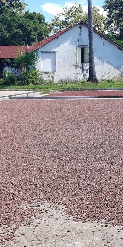 Plantation Millot, Nosy Be | Timbuktu Travel