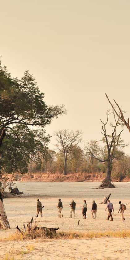 South Luangwa National Park