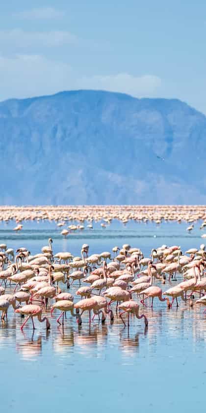 Lake Natron