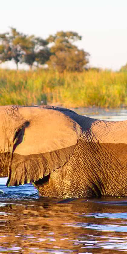 Caprivi (the Zambezi Region)