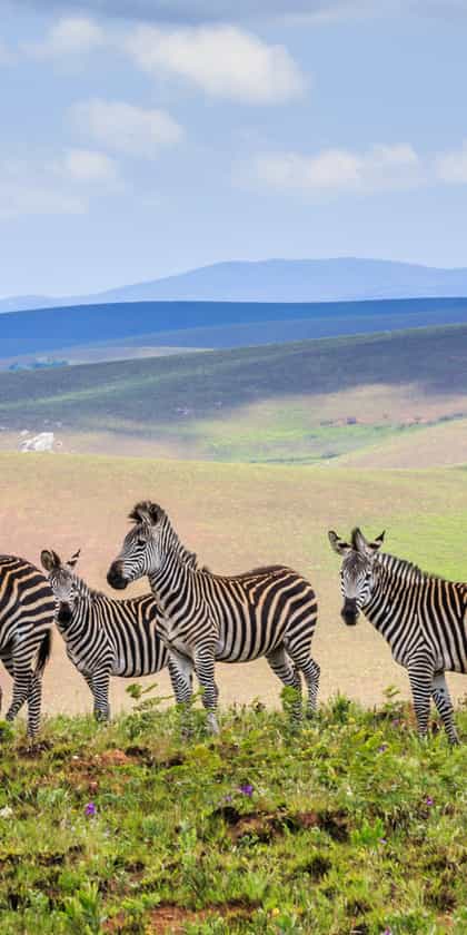 Nyika National Park