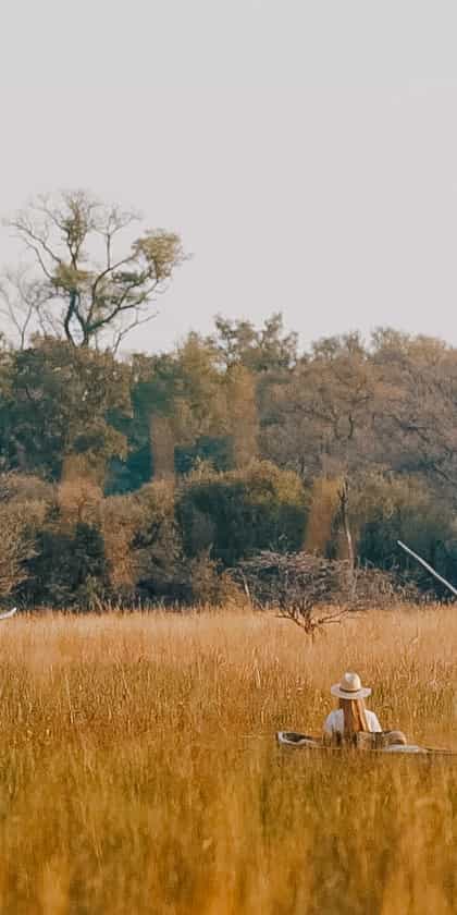 Central Okavango