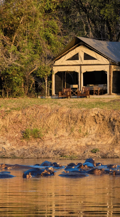 Luambe Camp, Luambe | Timbuktu Travel