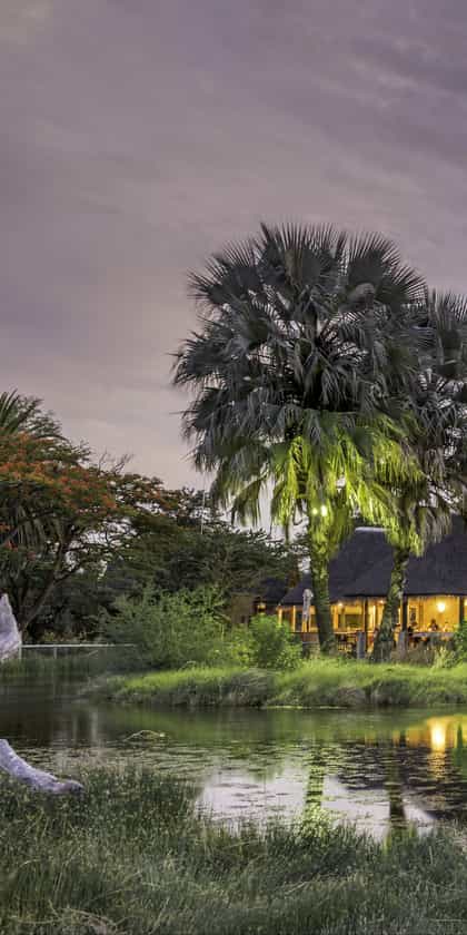 Onguma Bush Camp, Etosha | Timbuktu Travel