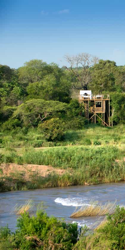 Tinyeleti Treehouse at Lion Sands, Southern Kruger | Timbuktu Travel