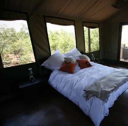 Wild Ivory Eco Lodge, Waterberg | Timbuktu Travel