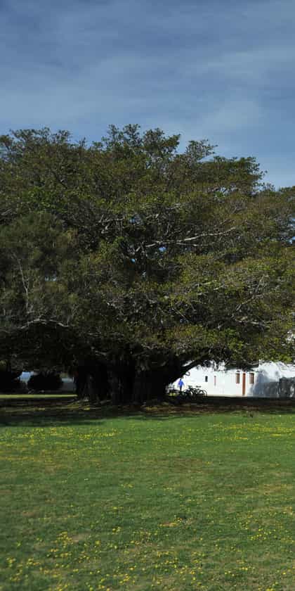 De Hoop Collection, De Hoop | Timbuktu Travel