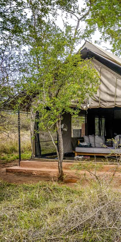 Honeyguide Khoka Moya Tented Camp, Manyeleti | Timbuktu Travel