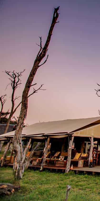 The Private Hide, Hwange | Timbuktu Travel