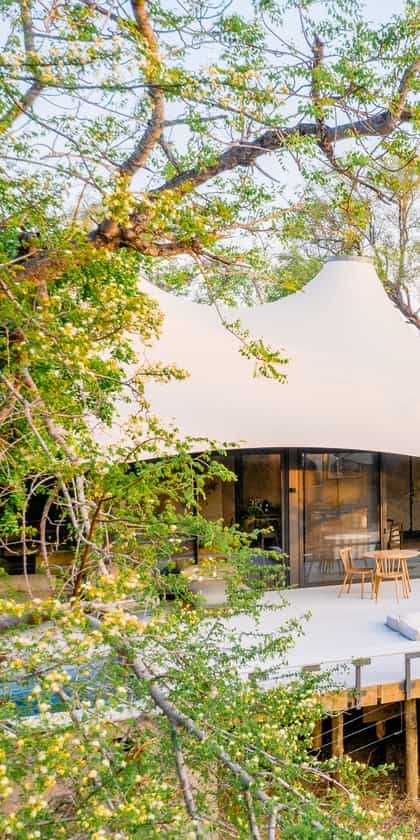 Saseka Tented Camp, Thornybush | Timbuktu Travel