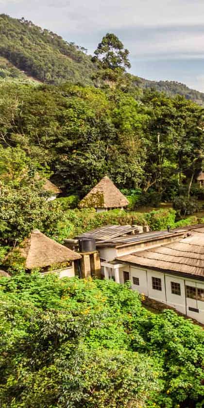 Bwindi Lodge, Bwindi | Timbuktu Travel
