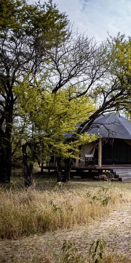 Serian's Serengeti Lamai, Serengeti | Timbuktu Travel