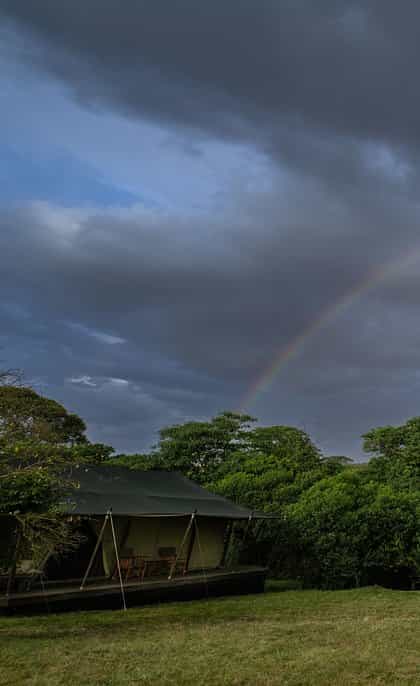 Enkewa Camp, Masai Mara, Masai Mara | Timbuktu Travel
