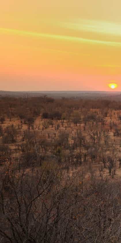 Victoria Falls Safari Club, Victoria Falls | Timbuktu Travel