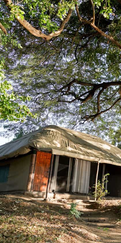 Vundu Camp, Mana Pools | Timbuktu Travel