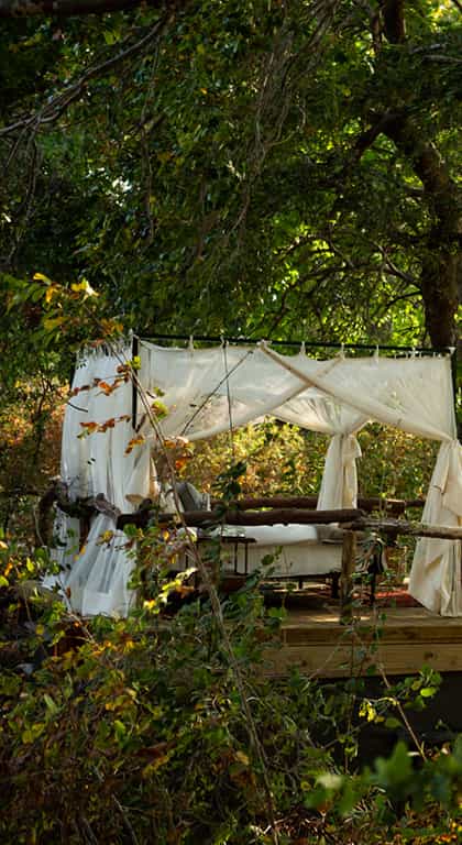 Sapi Springs Camp, Mana Pools | Timbuktu Travel