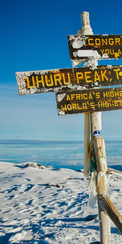 Kilimanjaro
