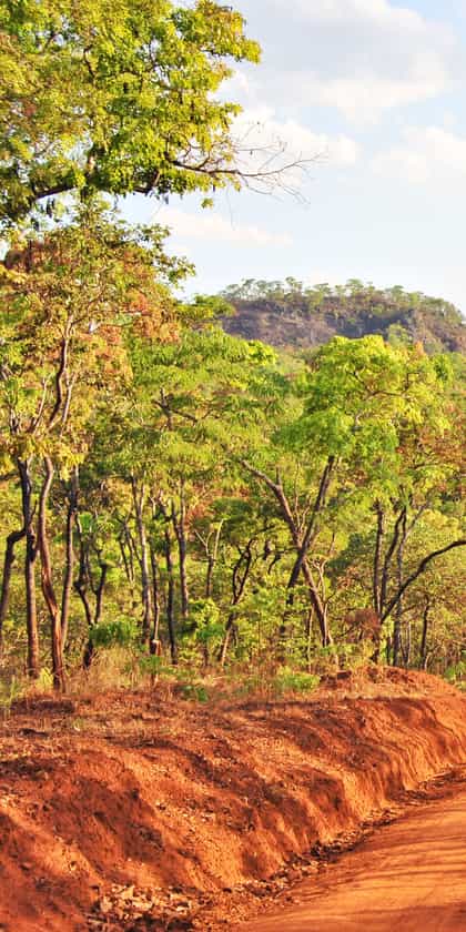 Niassa National Reserve