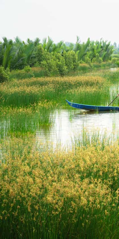 Mekong Delta