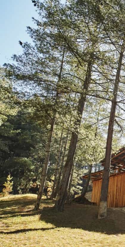 Six Senses Bumthang, Bumthang | Timbuktu Travel