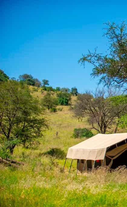 Ndutu Kati Kati Tented Camp, Serengeti | Timbuktu Travel