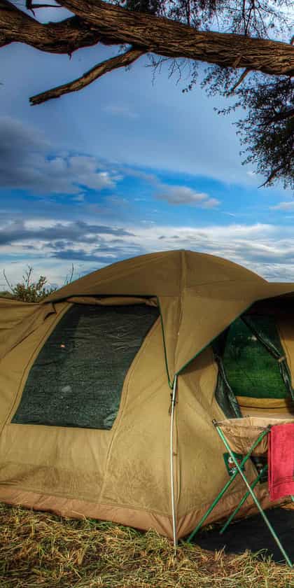 Safari Life Africa: Mobile Safari, Moremi | Timbuktu Travel