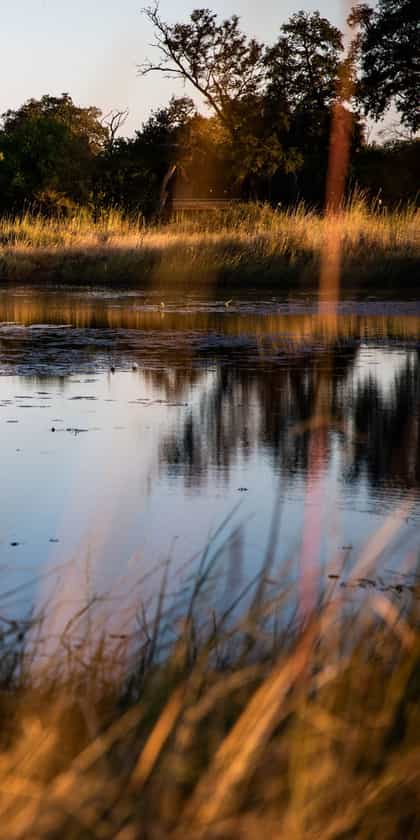 Kings Pool Camp, Linyanti | Timbuktu Travel