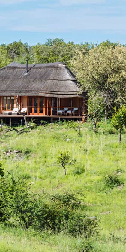 The Royal Madikwe, Madikwe | Timbuktu Travel