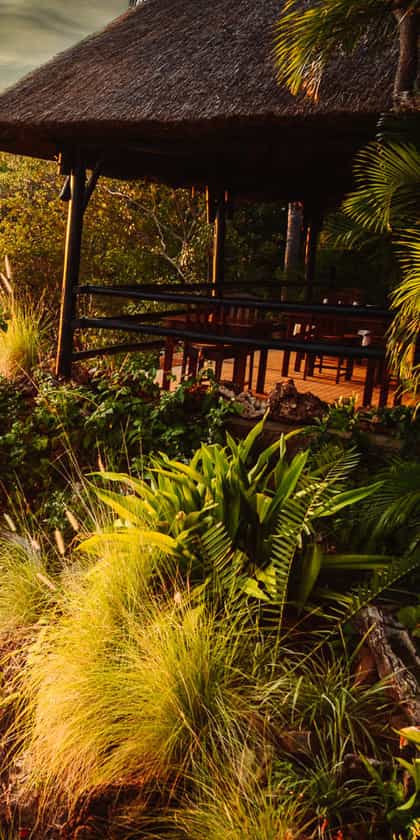 Gorges Lodge, Victoria Falls | Timbuktu Travel