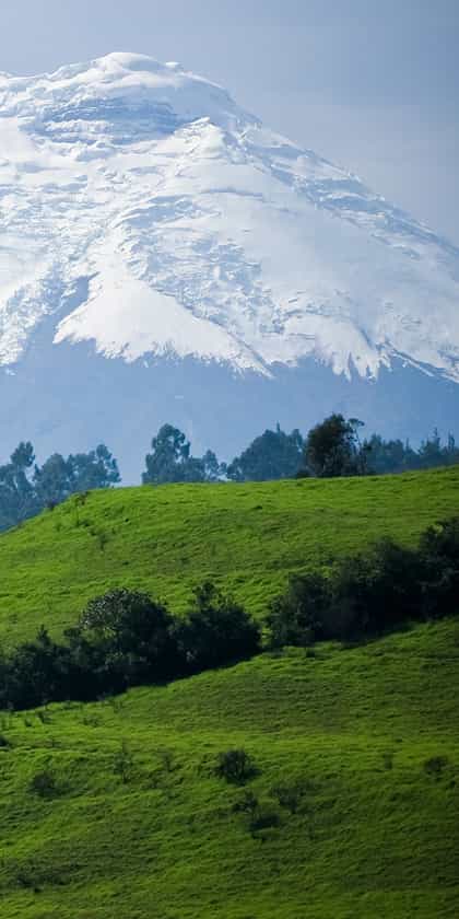 Cotopaxi