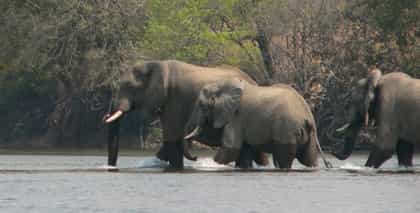 Mu Fungata Safari Lodge, Kafue | Timbuktu Travel