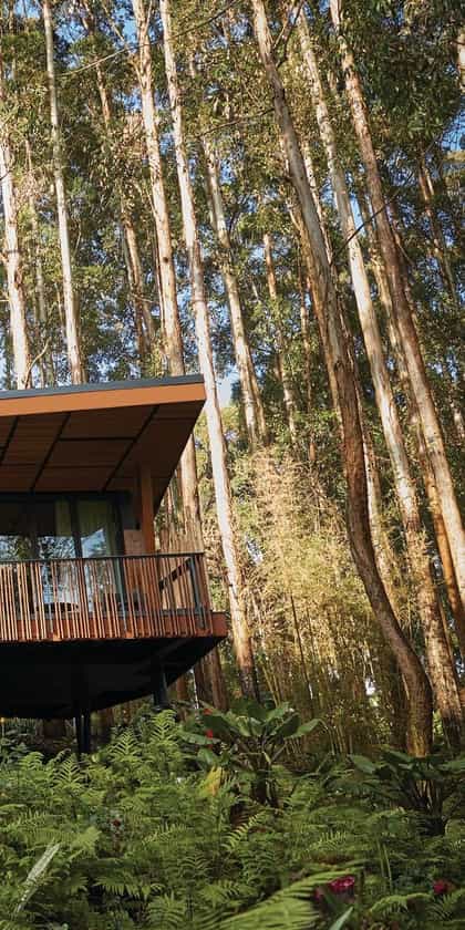 One&Only Gorilla's Nest, Volcanoes | Timbuktu Travel