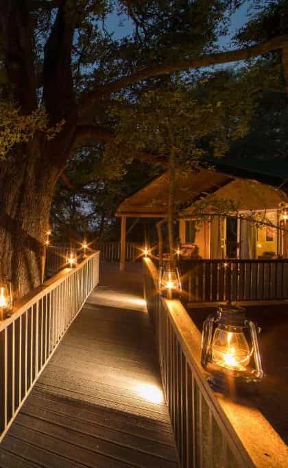 Xaro Lodge, Central Okavango | Timbuktu Travel