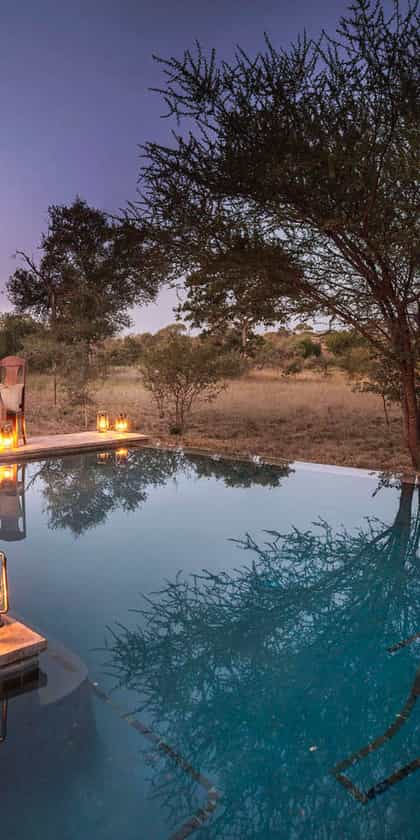 Kings Camp, Timbavati | Timbuktu Travel