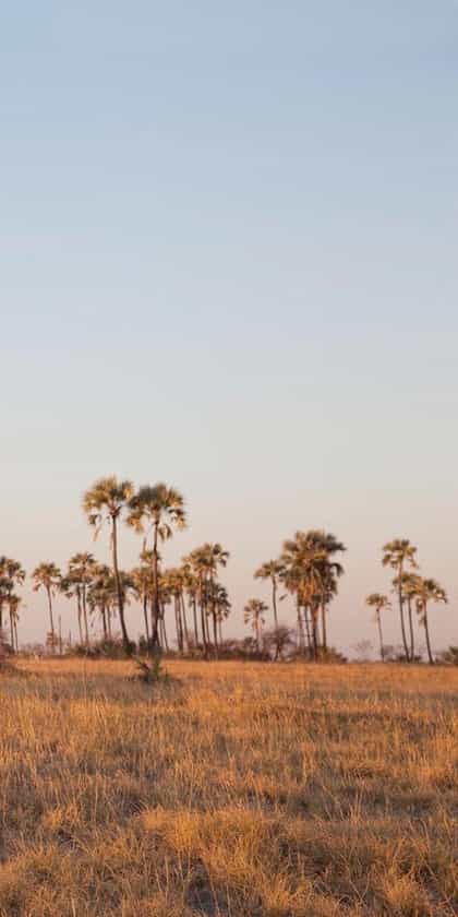 San Camp, Makgadikgadi | Timbuktu Travel