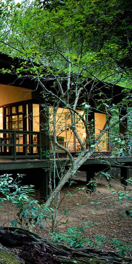 &Beyond Phinda Forest Lodge, Phinda | Timbuktu Travel