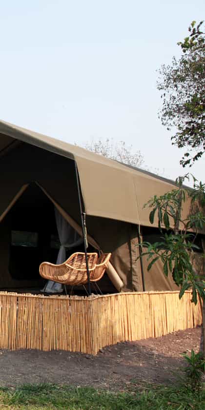 Shoebill Island Camp, Bangweulu | Timbuktu Travel