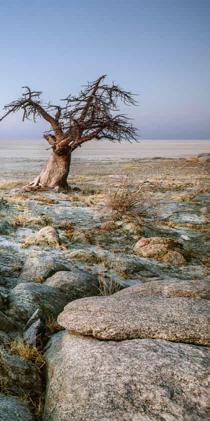 Makgadikgadi